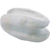 Anchor egg